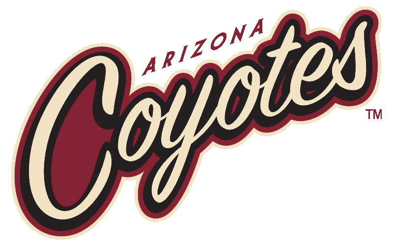 Arizona Coyotes 2015 Wordmark Logo iron on heat transfer